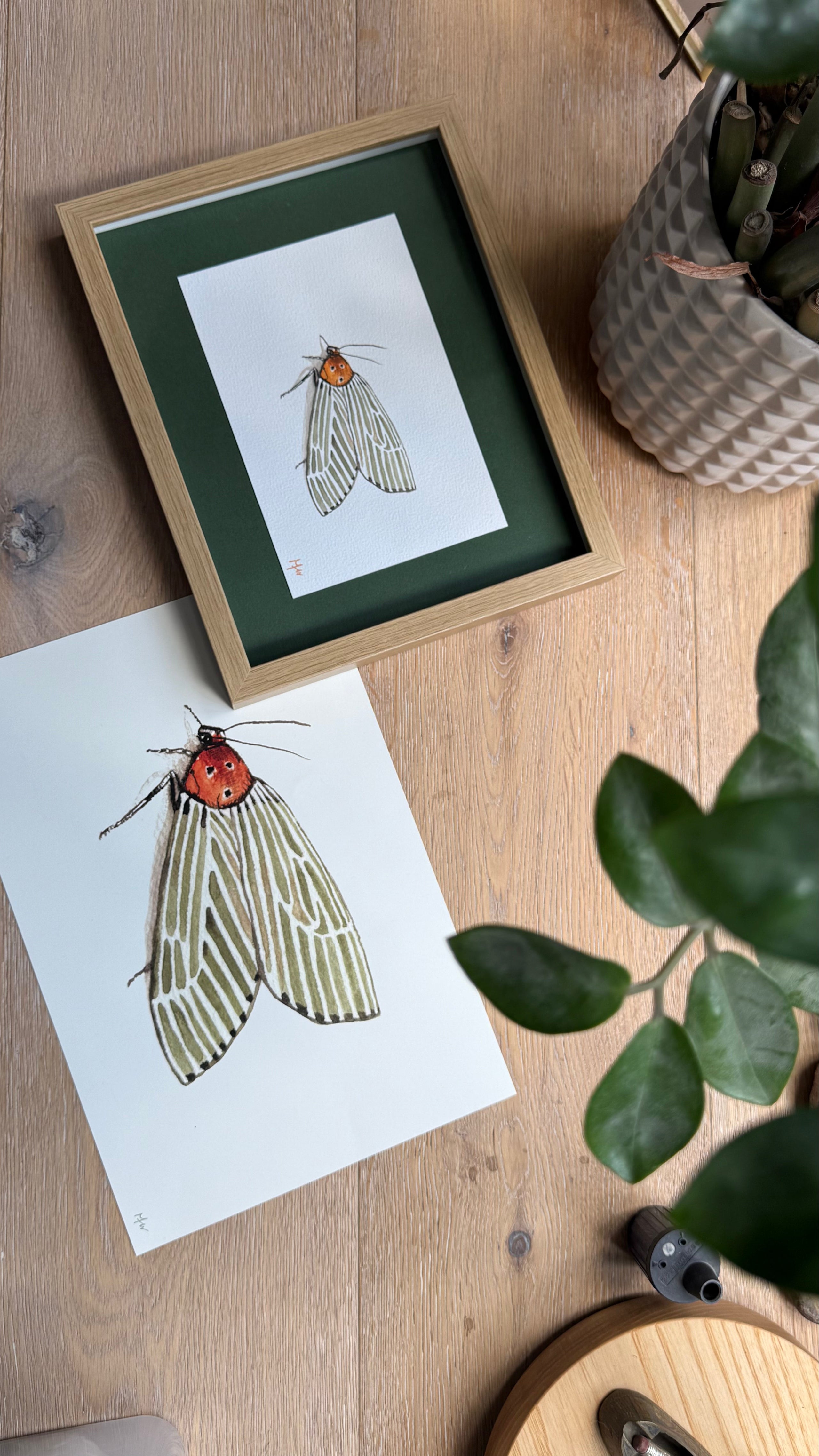 Prints / edición limitada