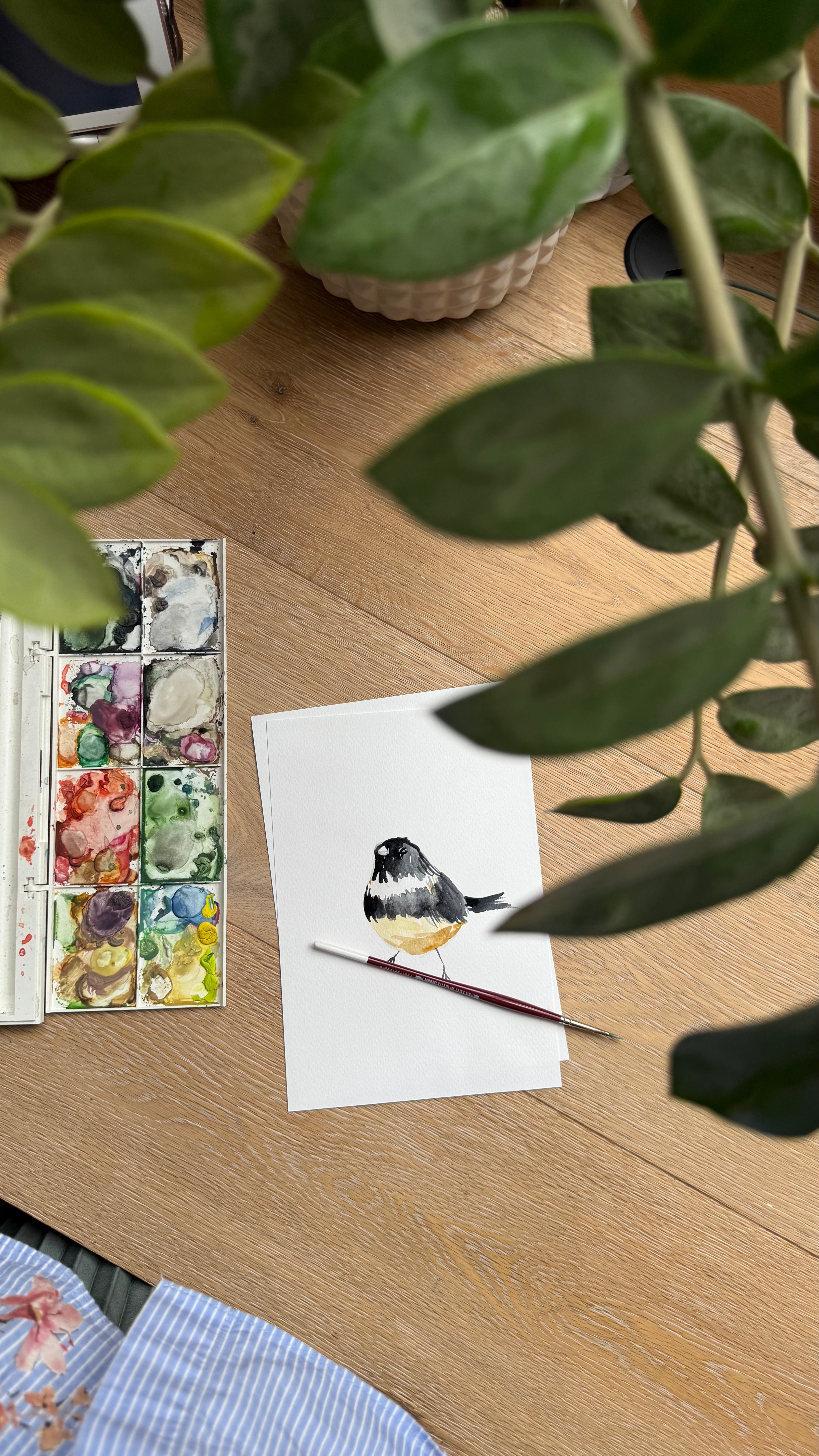 Ilustraciones originales