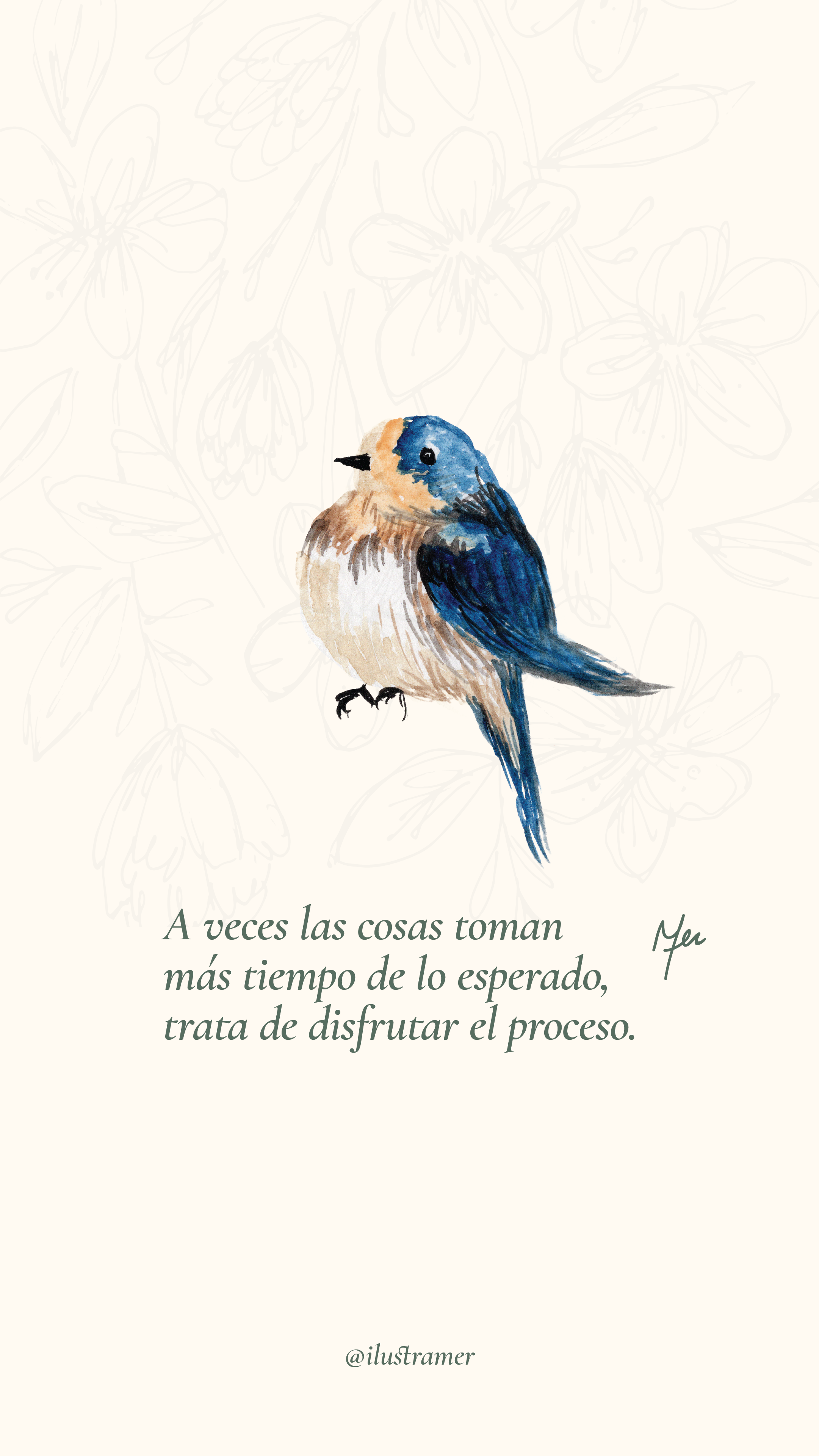 Bundle aves con frase