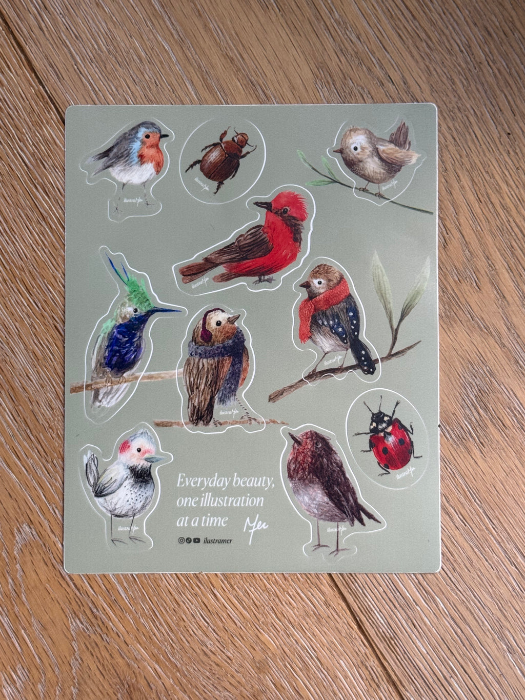 Stickers de aves