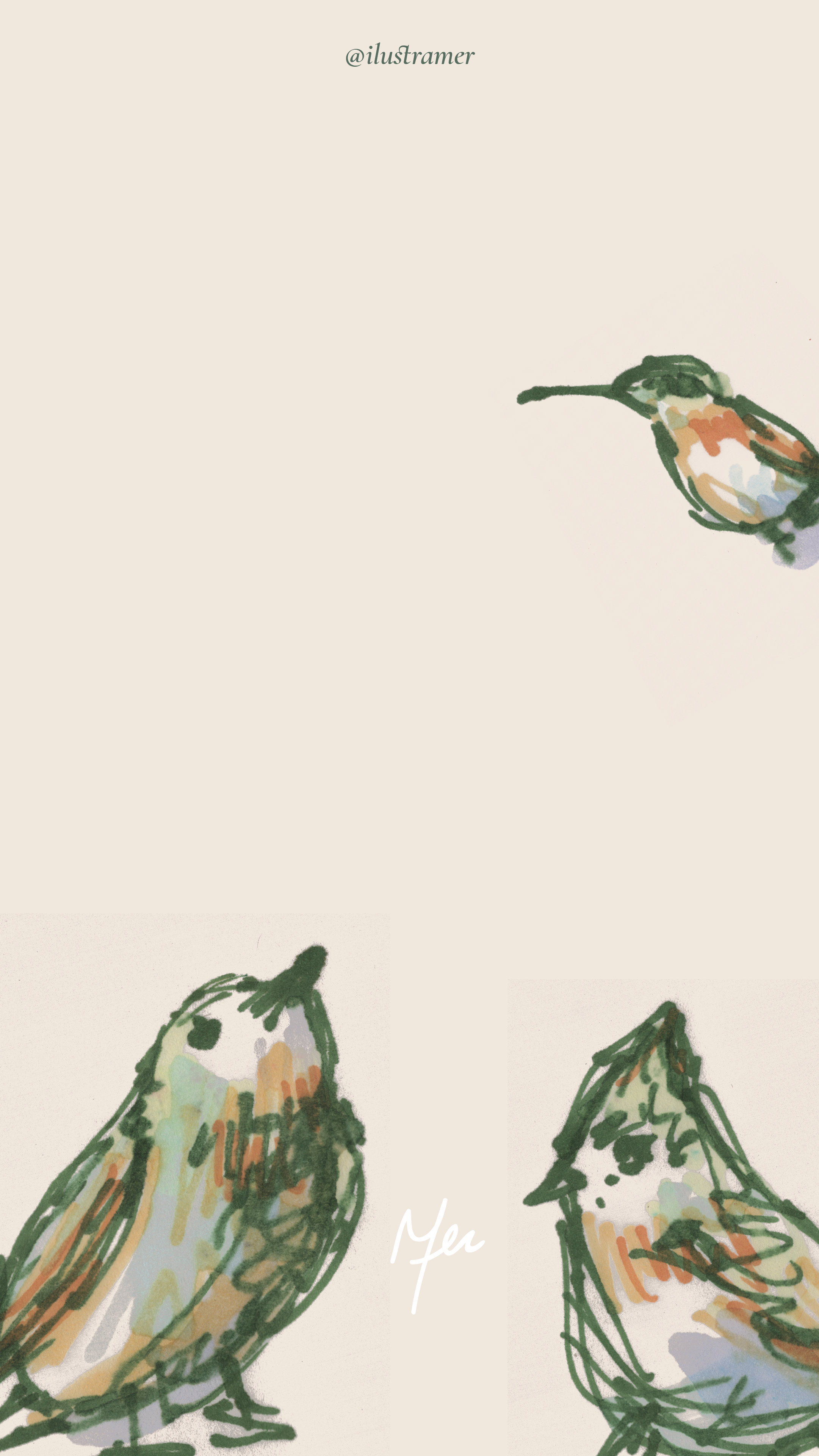 Bundle frases & aves con plumón