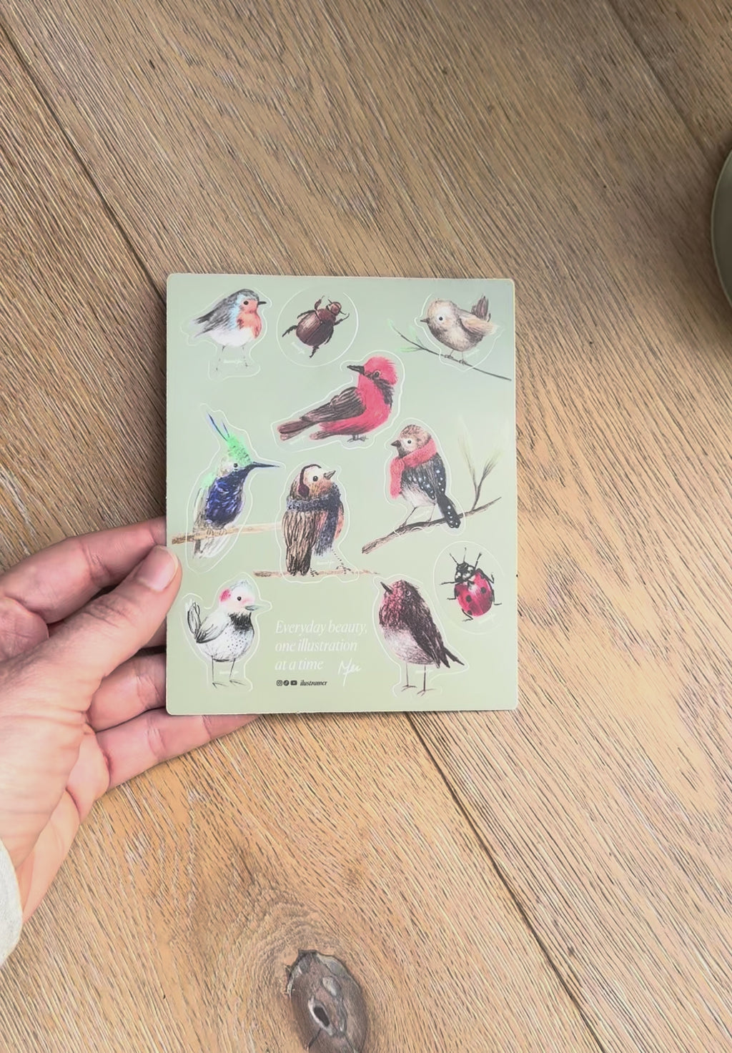 Stickers de aves