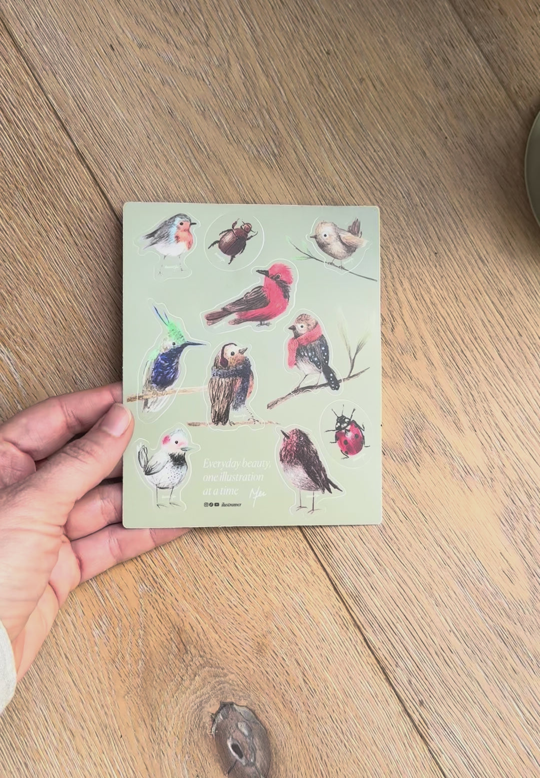 Stickers de aves